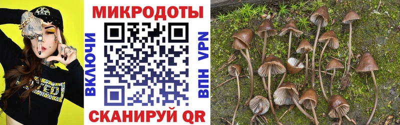 Псилоцибиновые грибы Cubensis  Сергач 